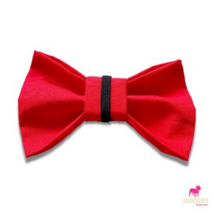 Bowtie red back