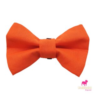 De oranje bowtie