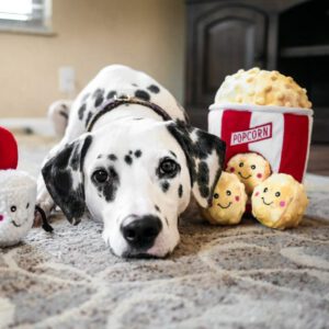 Zippy burrow popcorn hond