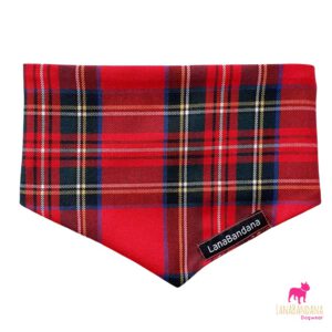 Knoopbandana Schotse Ruit Rood2