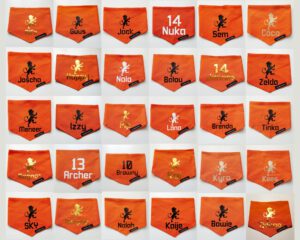 Overzicht Oranje bandana
