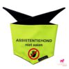 Knoopbandana-assistentiehond