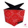 Boerenzakdoekbandana