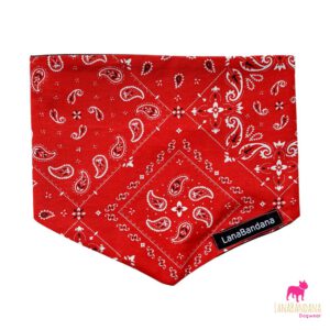 Boerenzakdoekbandana