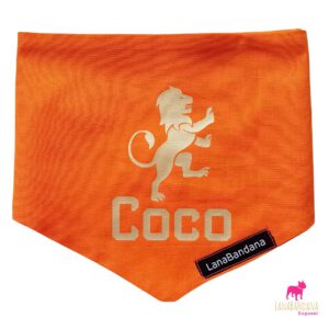 De oranje bandana Coco