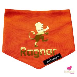 De oranje bandana Ragnar