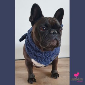 knoopbandana teddy jeans lana2