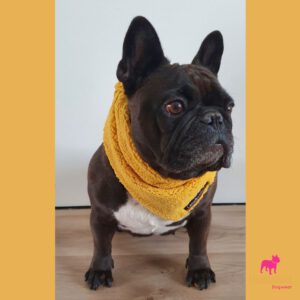 knoopbandana teddy oker lana 2