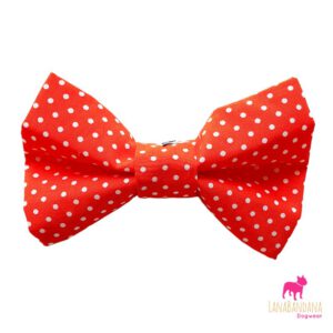 Bowtie | Orange Dots