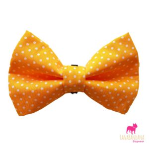 Bowtie | Yellow Dots