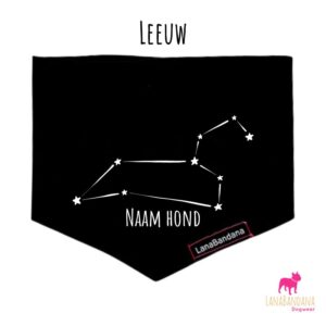 Sterrenbeeld Leeuw