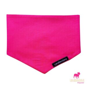 Perfect Fuchsia