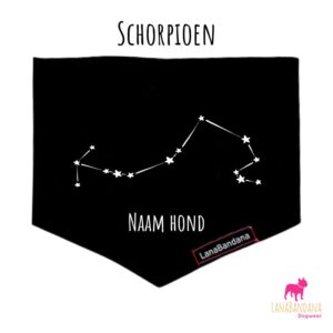 Sterrenbeeld Schorpioen