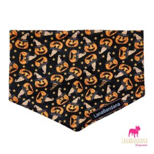 Halloween pumpkins