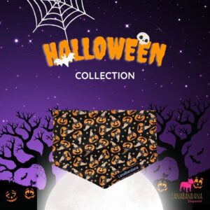 Halloween pumpkins sfeer