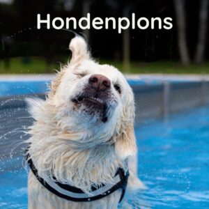 Hondenplons Luus