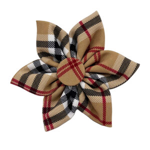 Pinwheel Strik - Plaid